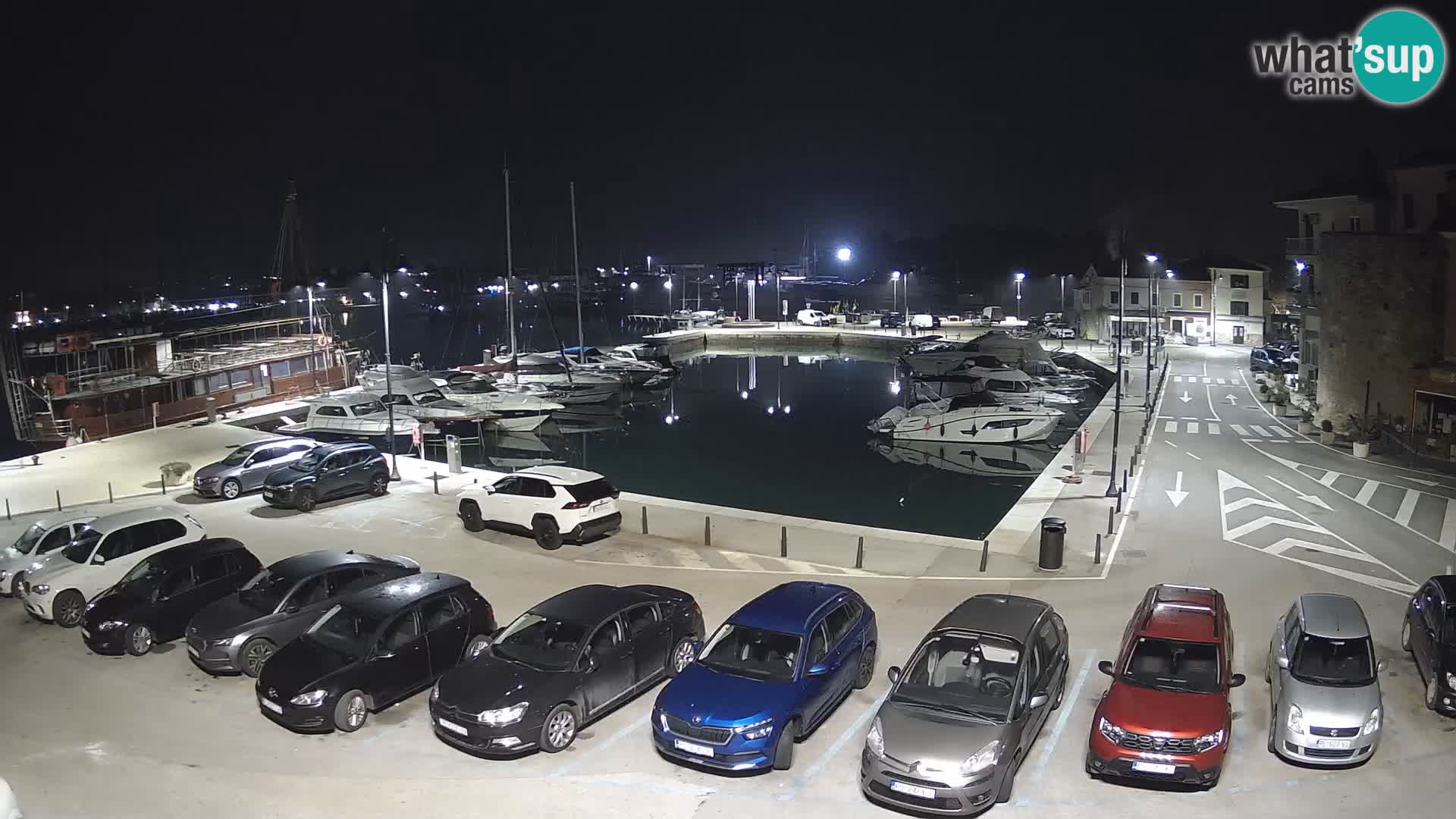 Novigrad | Porporela marina