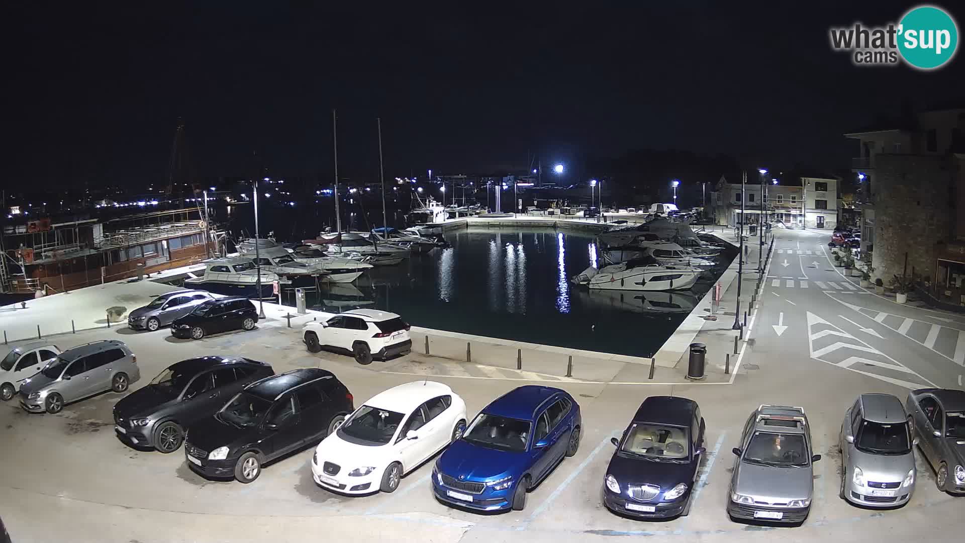 Novigrad | Porporela marina