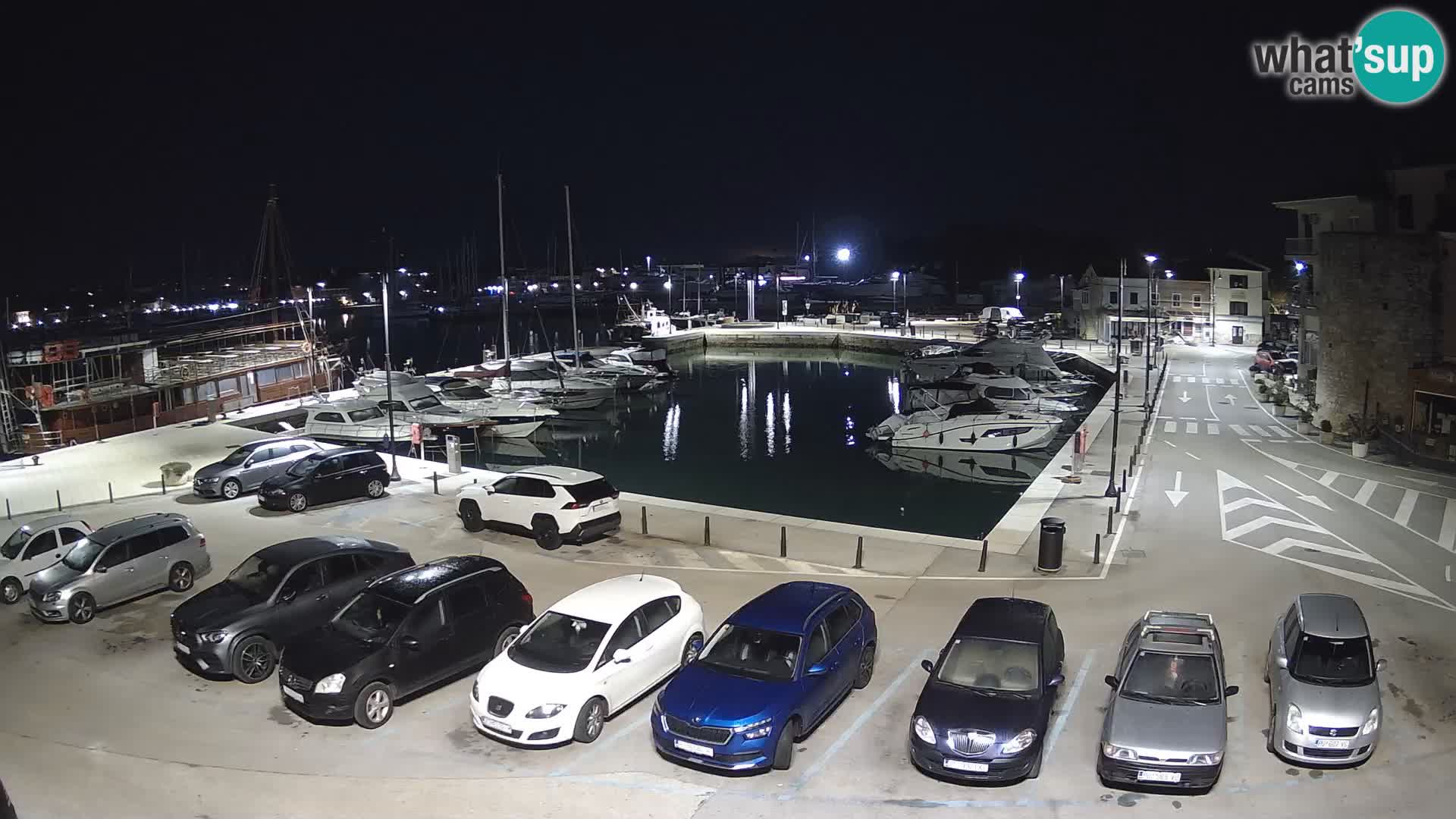 Novigrad | Porporela marina