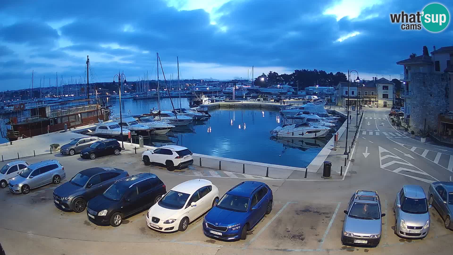 Novigrad | Porporela marina