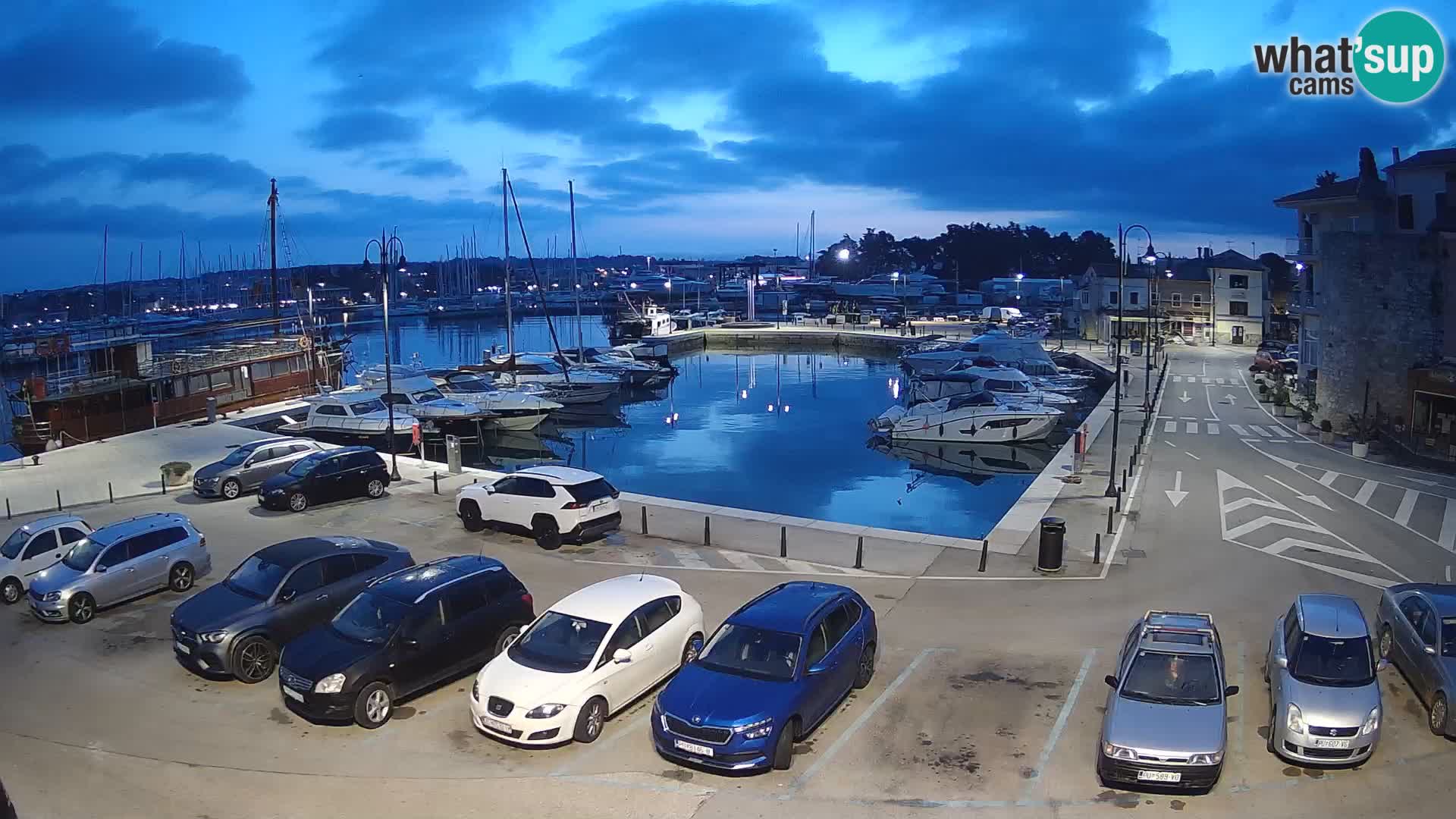 Novigrad | Porporela marina