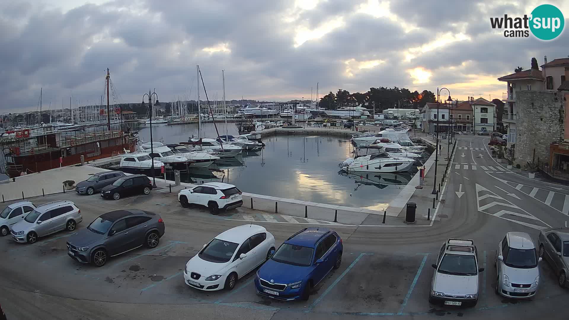 Novigrad | Porporela marina