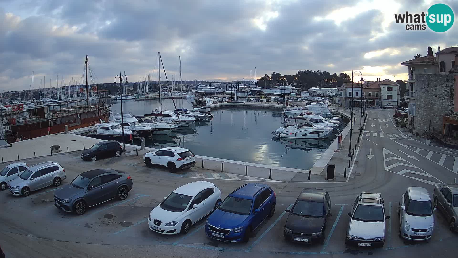 Novigrad | Porporela marina