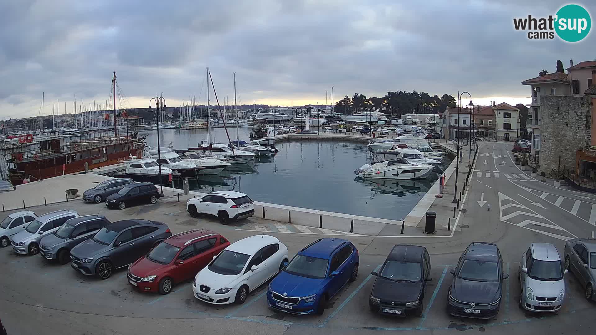 Novigrad | Porporela marina