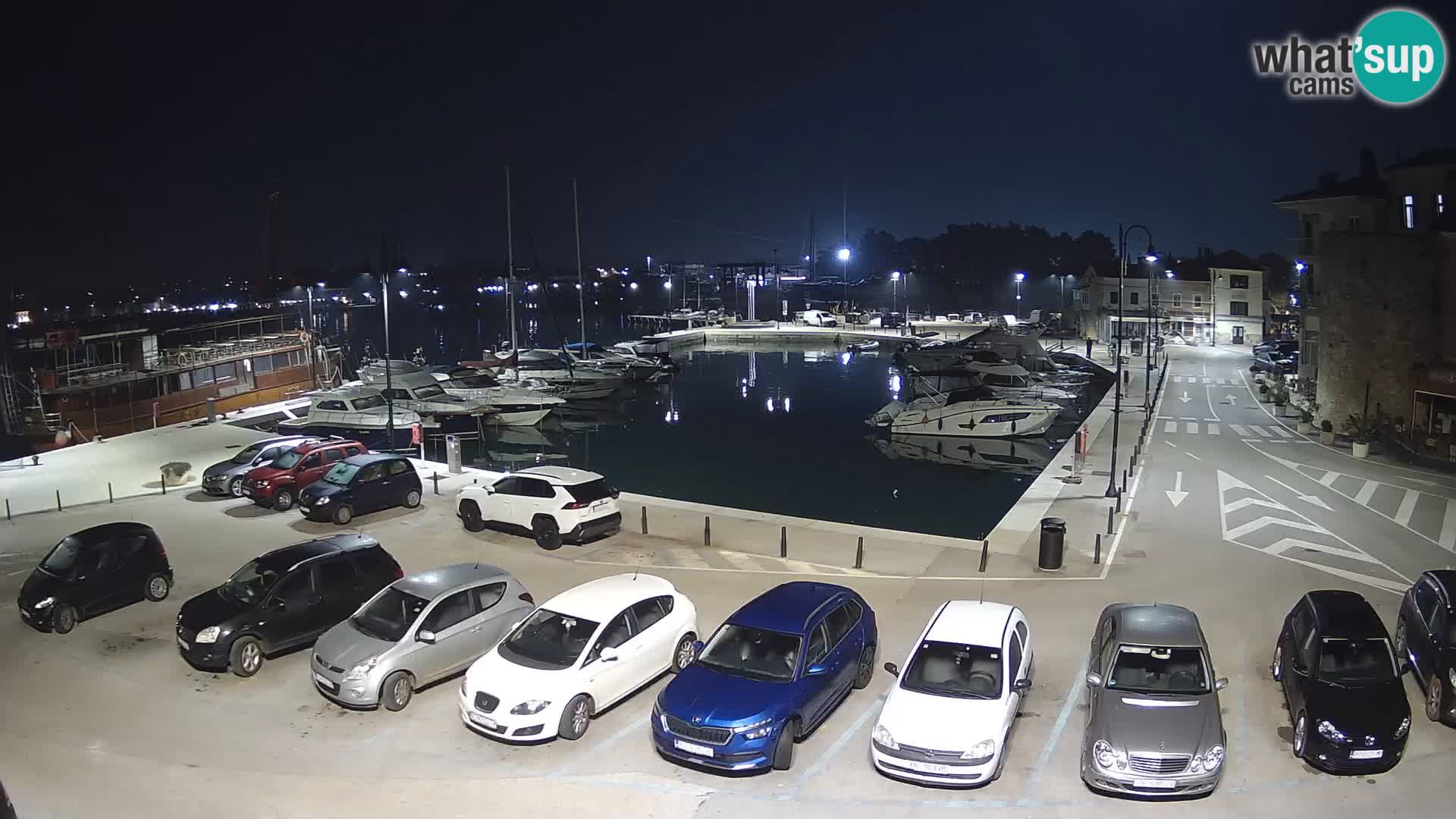 Novigrad | Porporela marina