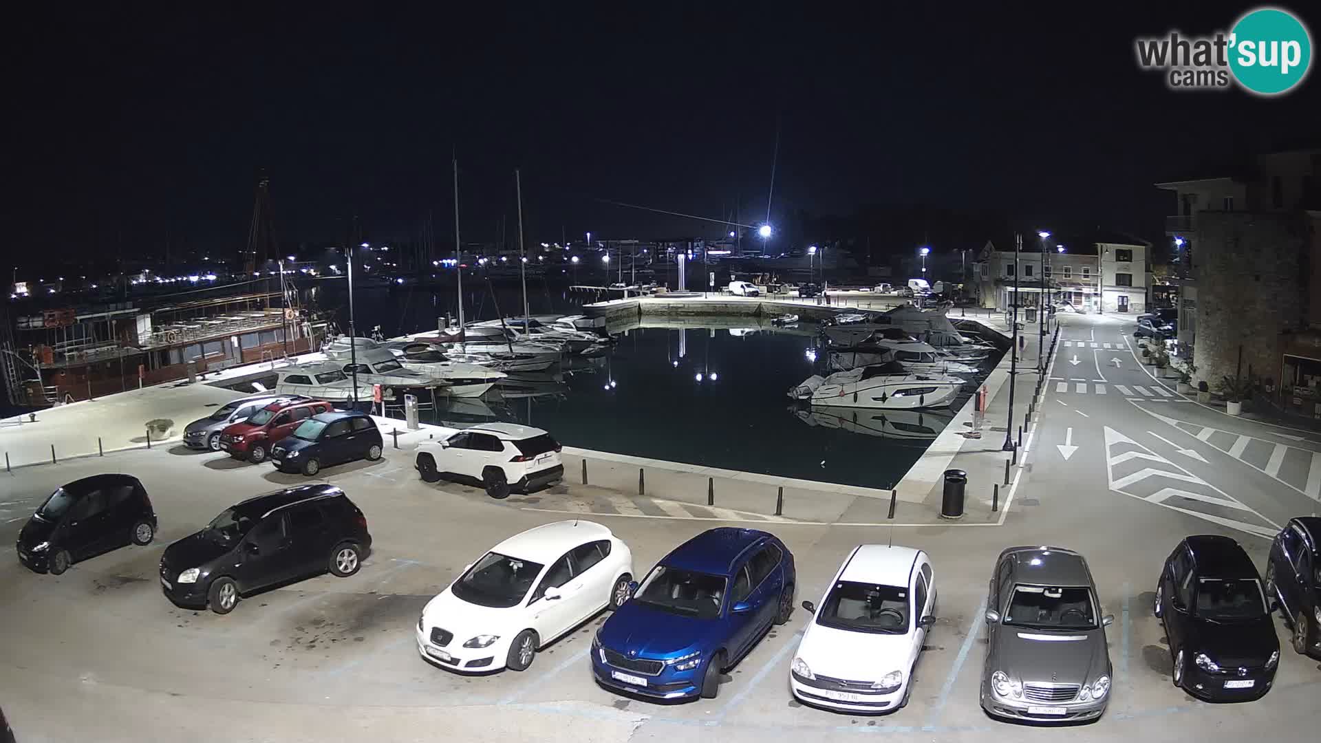 Novigrad | Porporela marina
