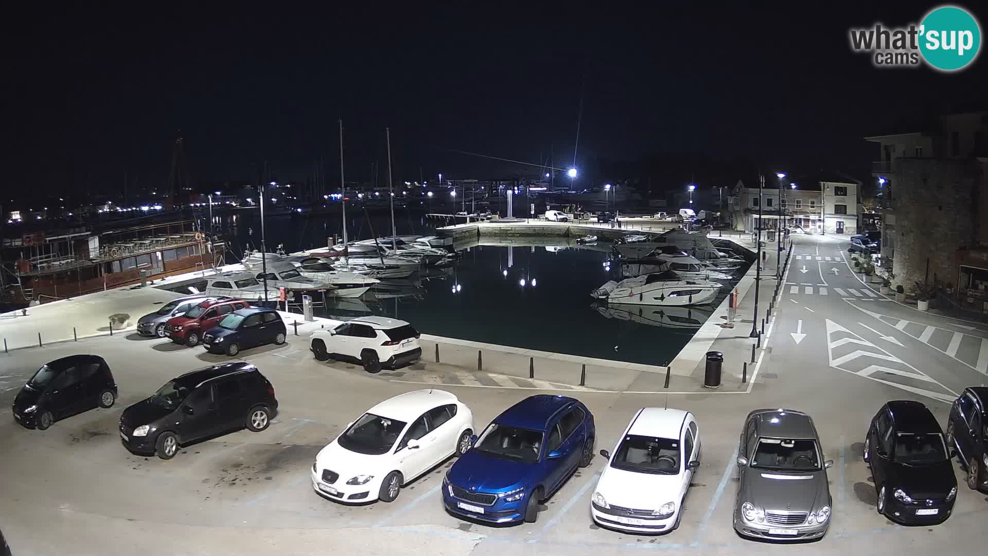 Novigrad | Porporela marina