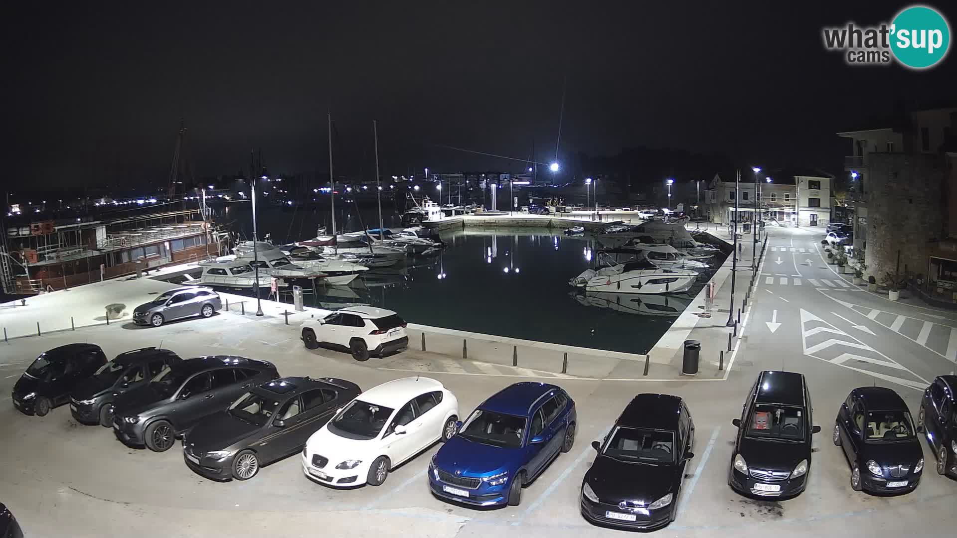 Novigrad | Porporela marina