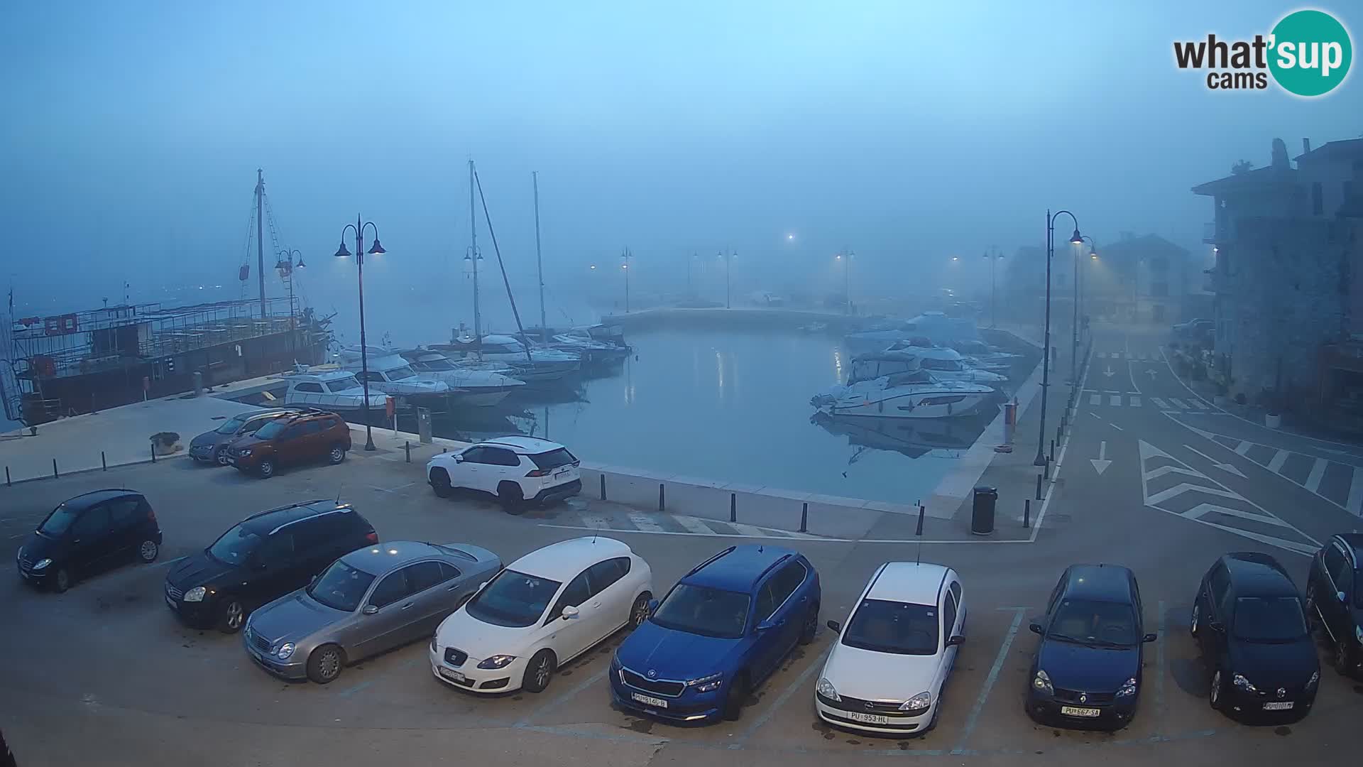 Novigrad | Porporela marina