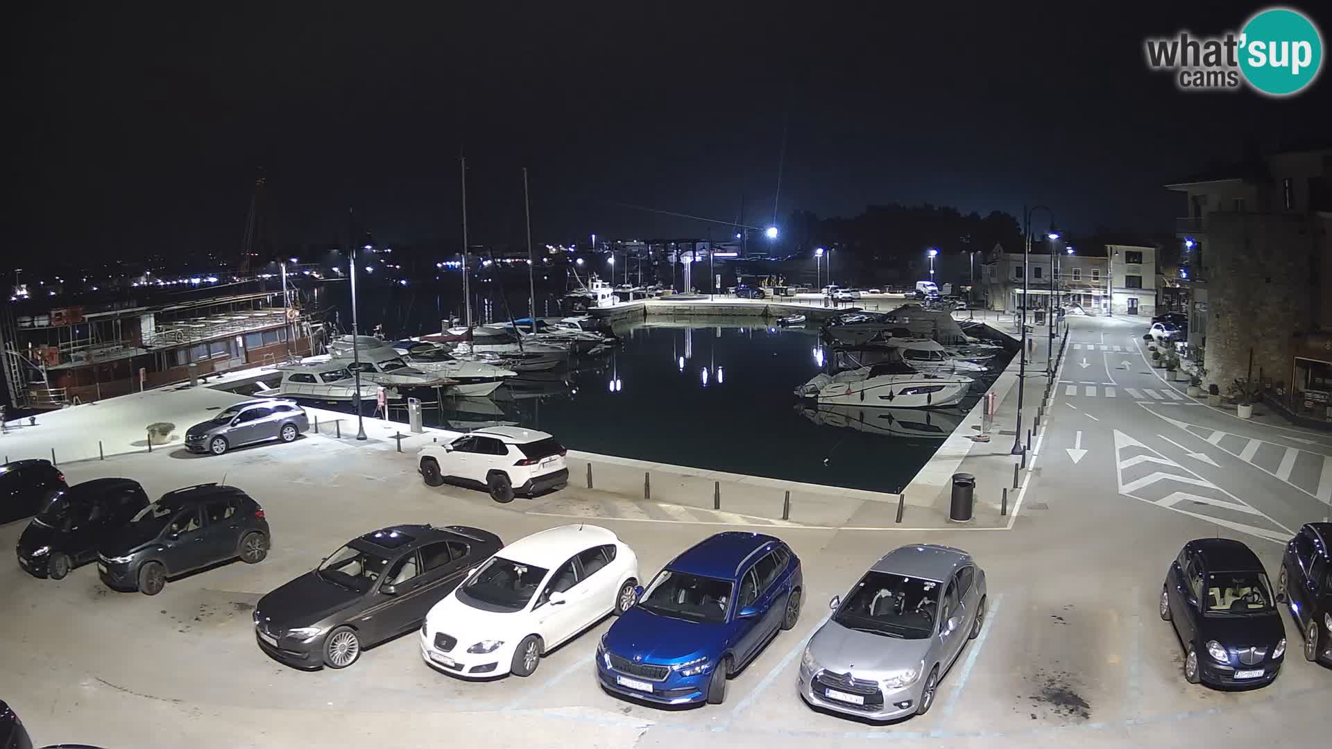 Novigrad | Porporela marina