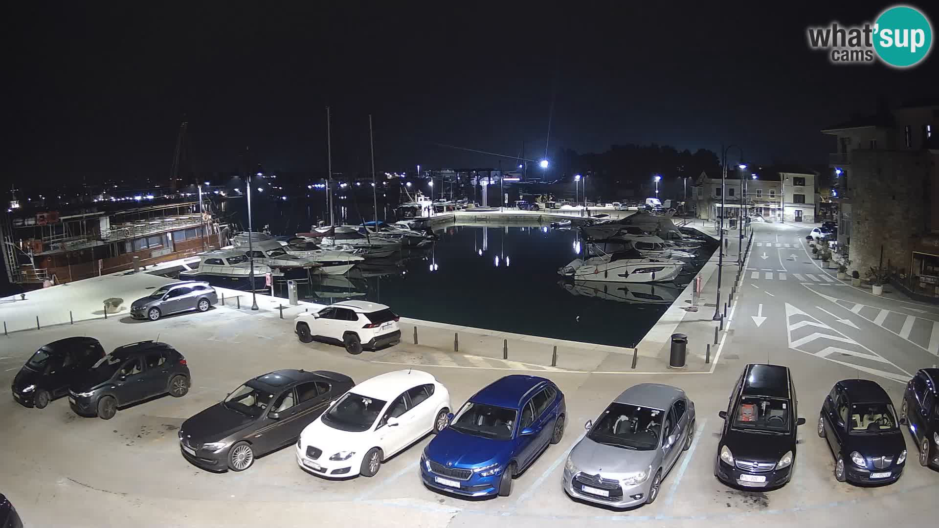 Novigrad | Porporela marina