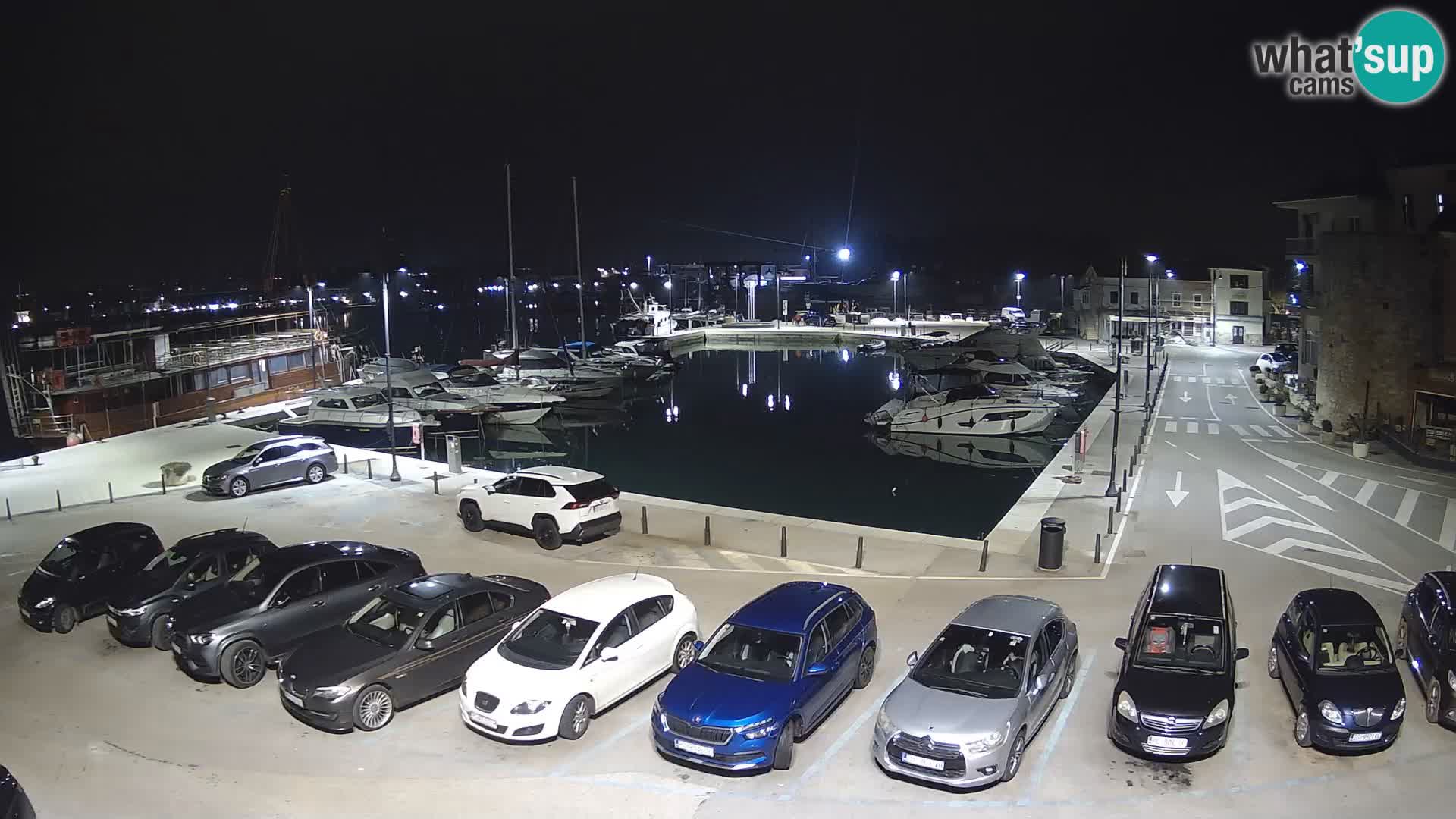 Novigrad | Porporela marina