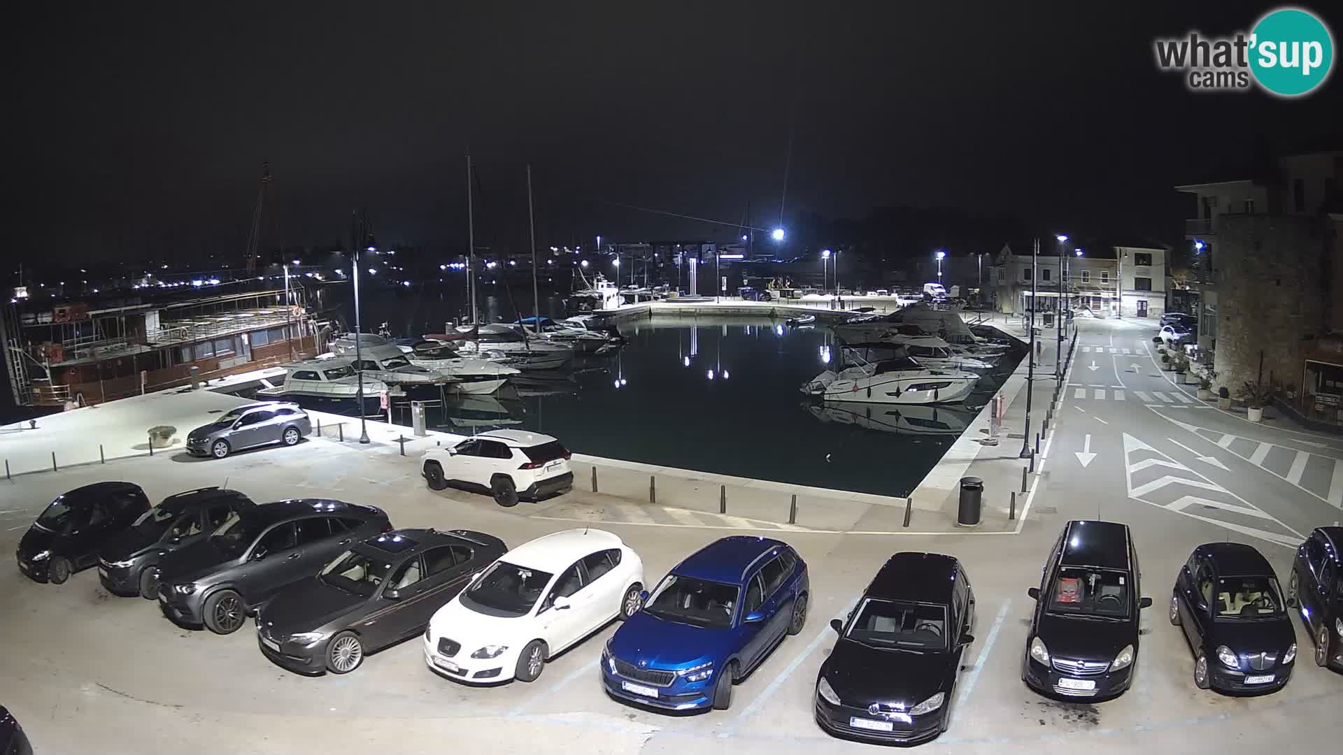 Novigrad | Porporela marina