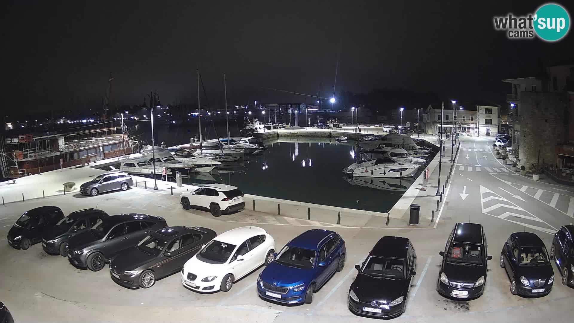 Novigrad | Porporela marina