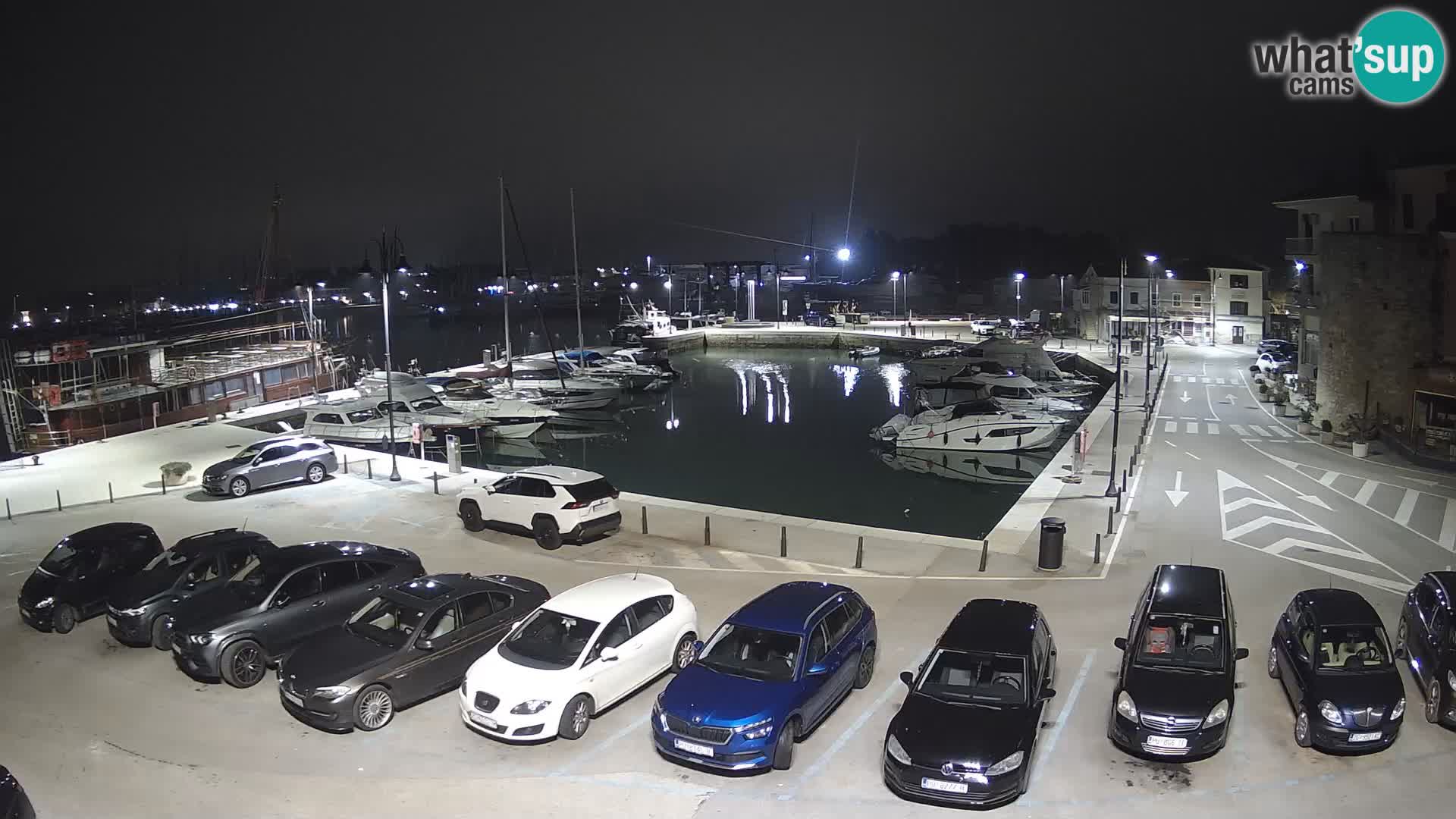 Novigrad | Porporela marina