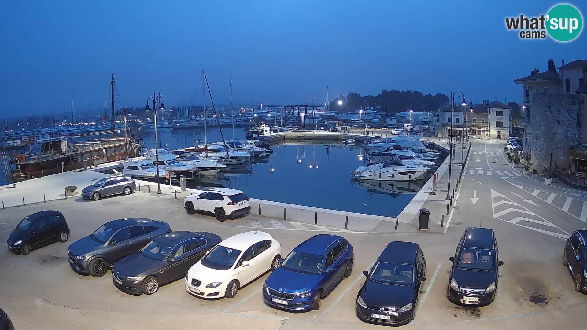 Novigrad | Porporela marina