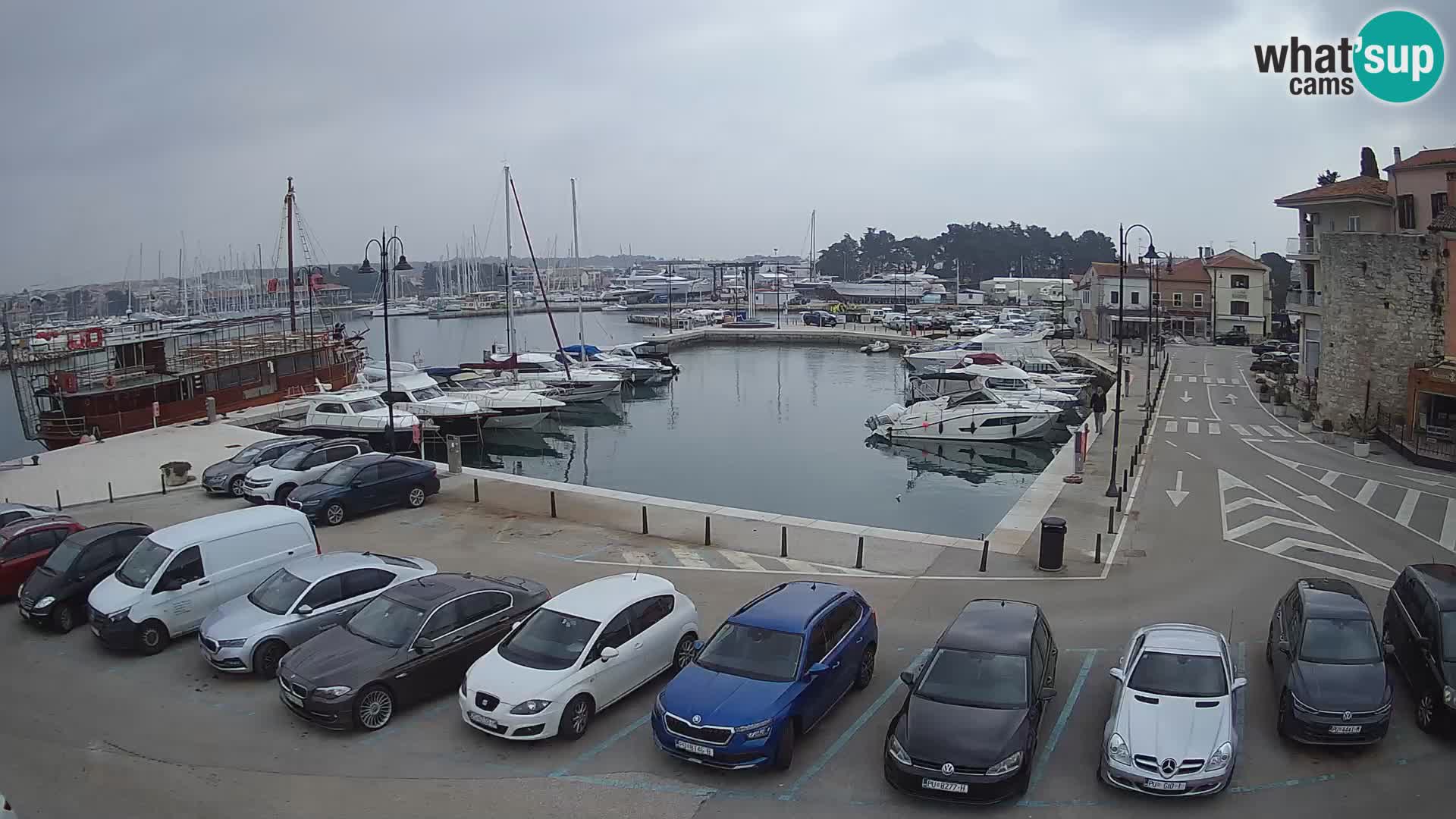 Novigrad | Porporela marina