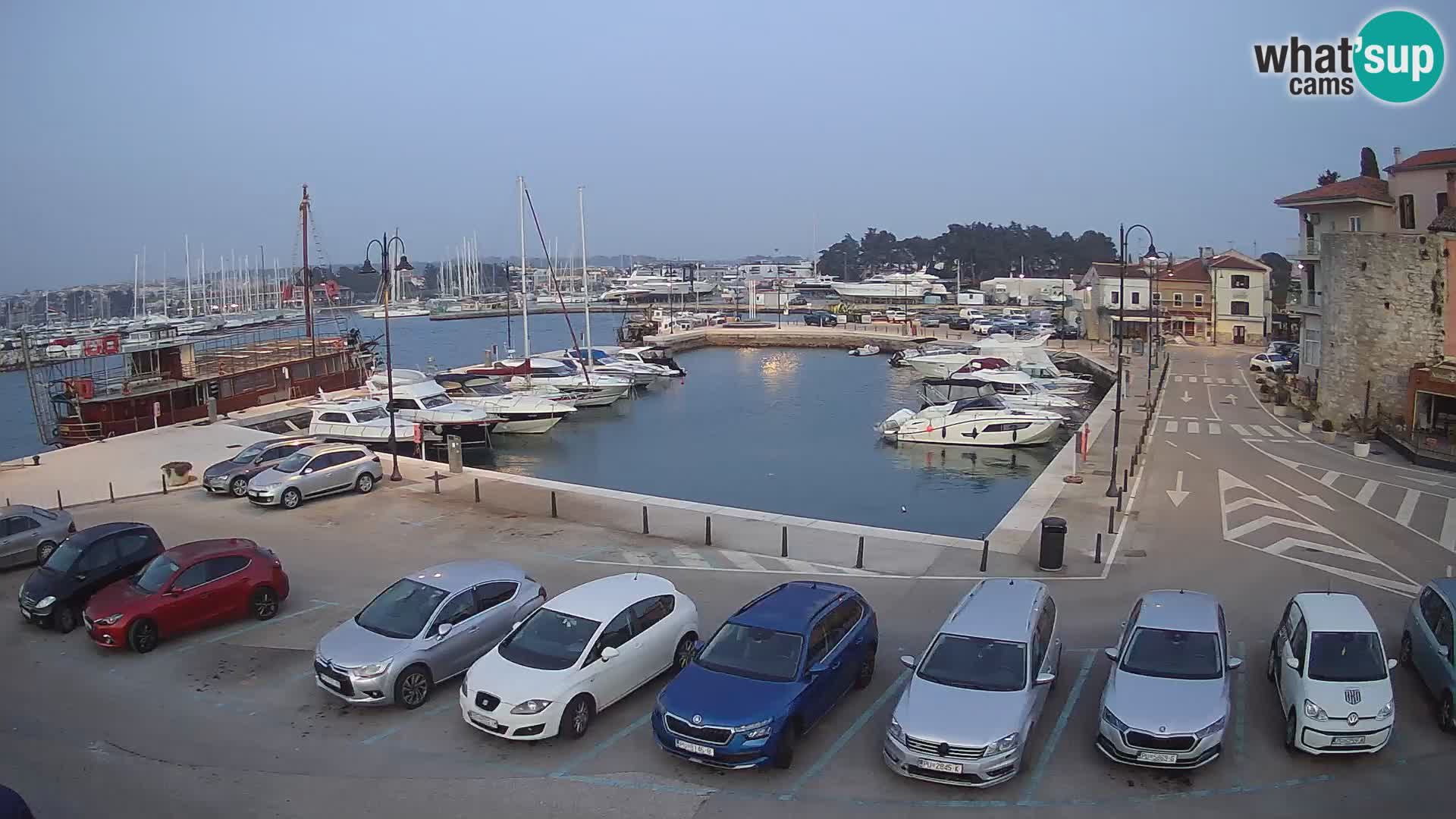 Novigrad | Porporela marina