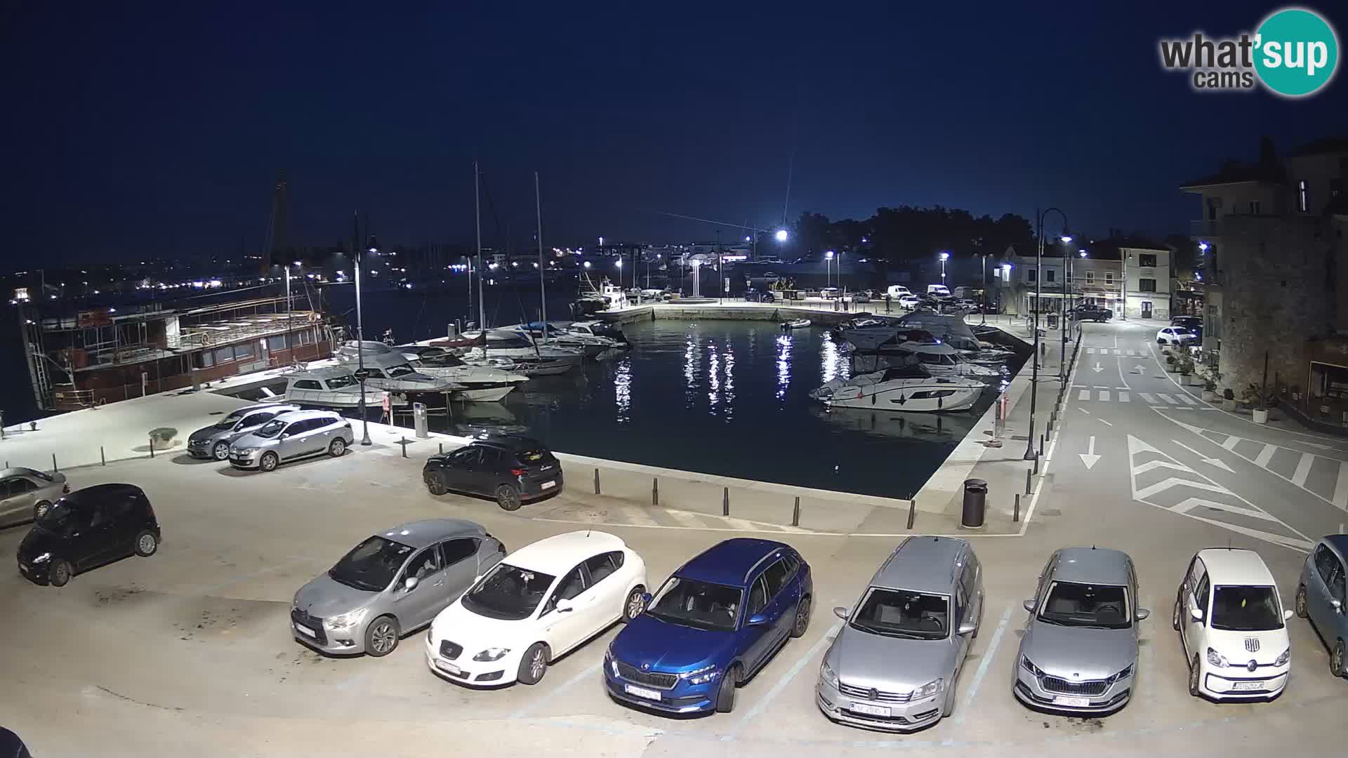 Novigrad | Porporela marina