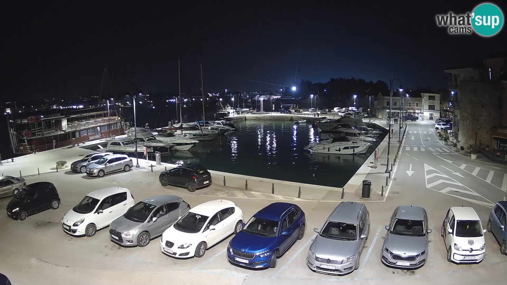 Novigrad | Porporela marina