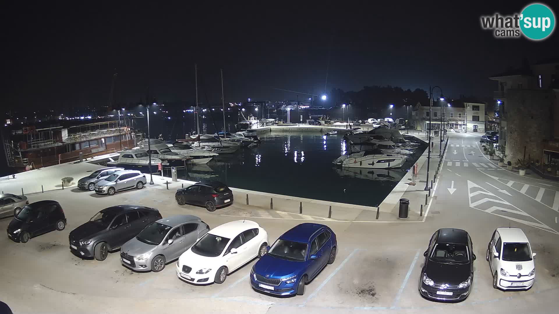 Novigrad | Porporela marina