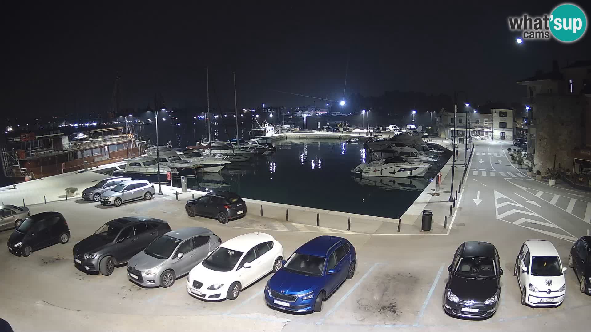 Novigrad | Porporela marina