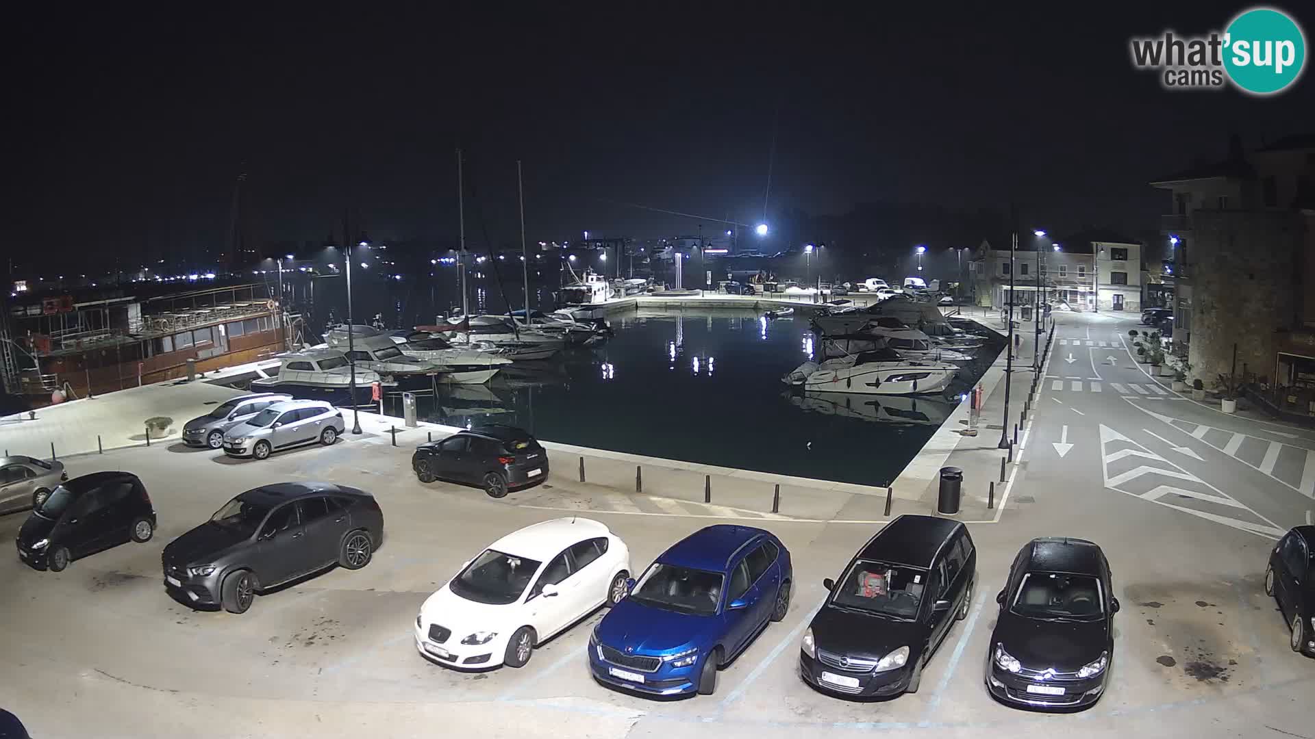 Novigrad | Porporela marina