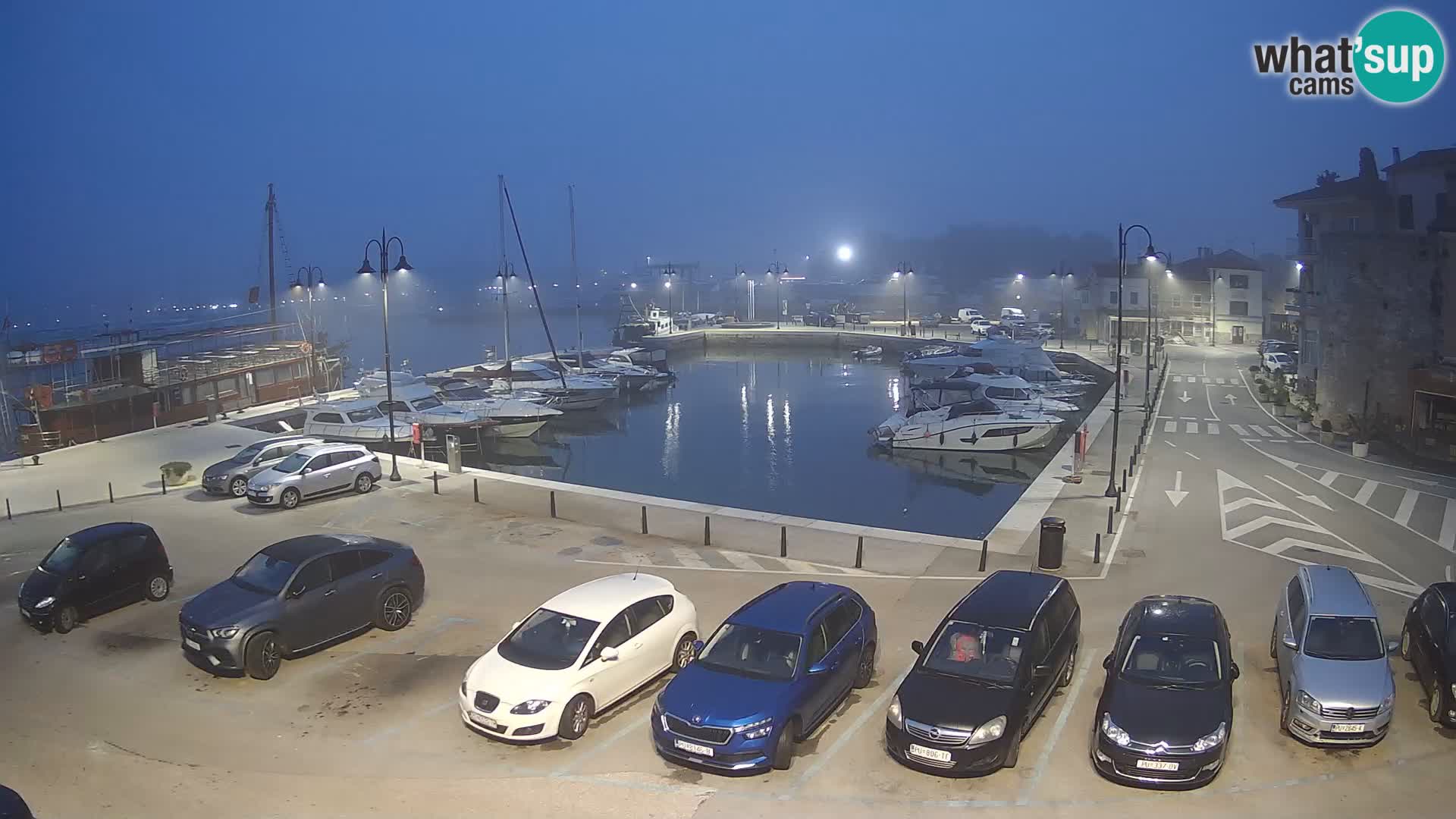 Novigrad | Porporela marina