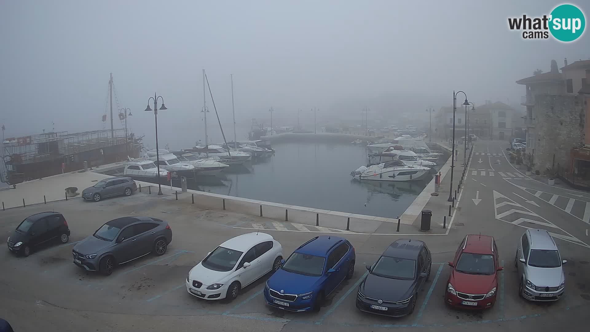 Novigrad | Porporela marina