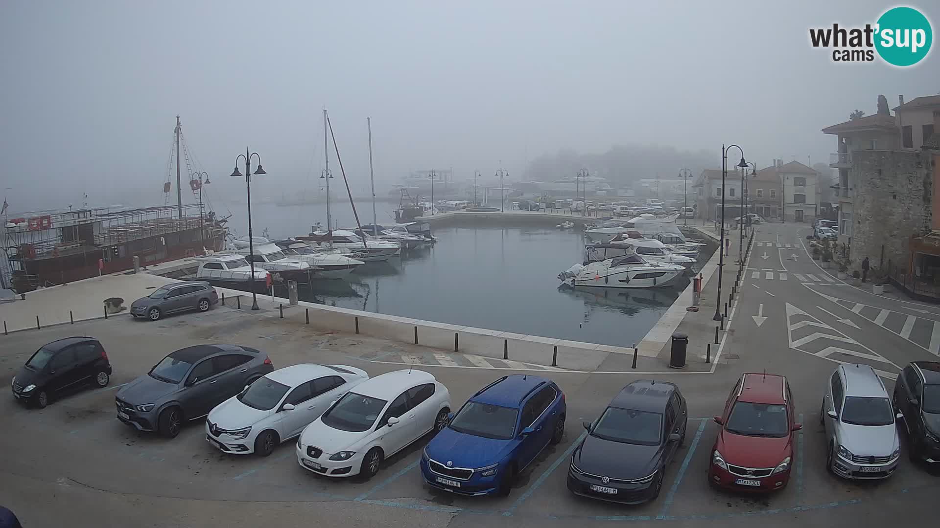 Novigrad | Porporela marina