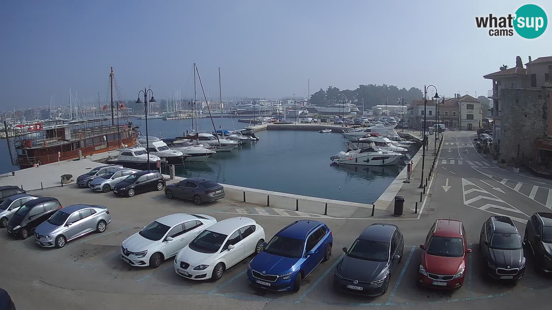 Novigrad | Porporela marina