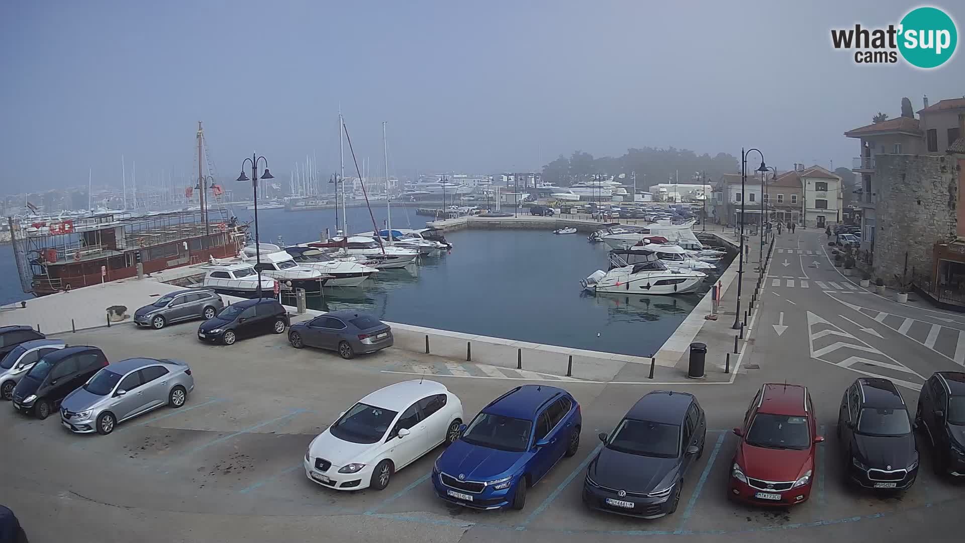 Novigrad | Porporela marina