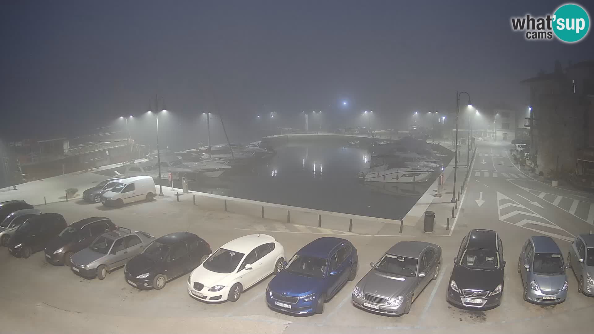 Novigrad | Porporela marina