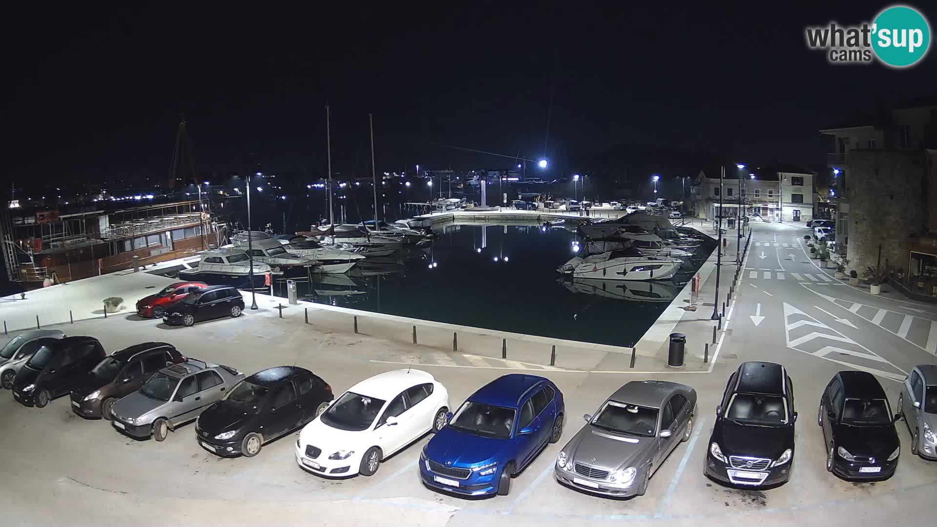 Novigrad | Porporela marina