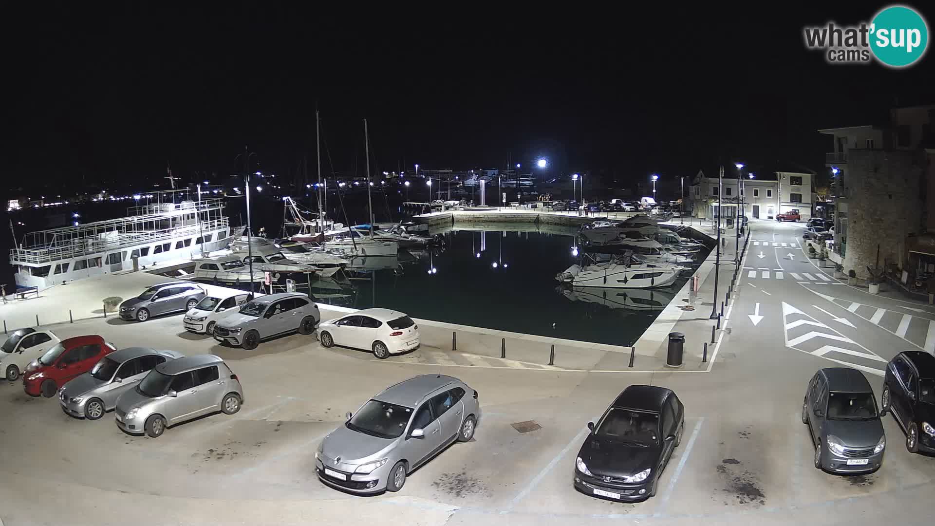 Novigrad | Porporela marina