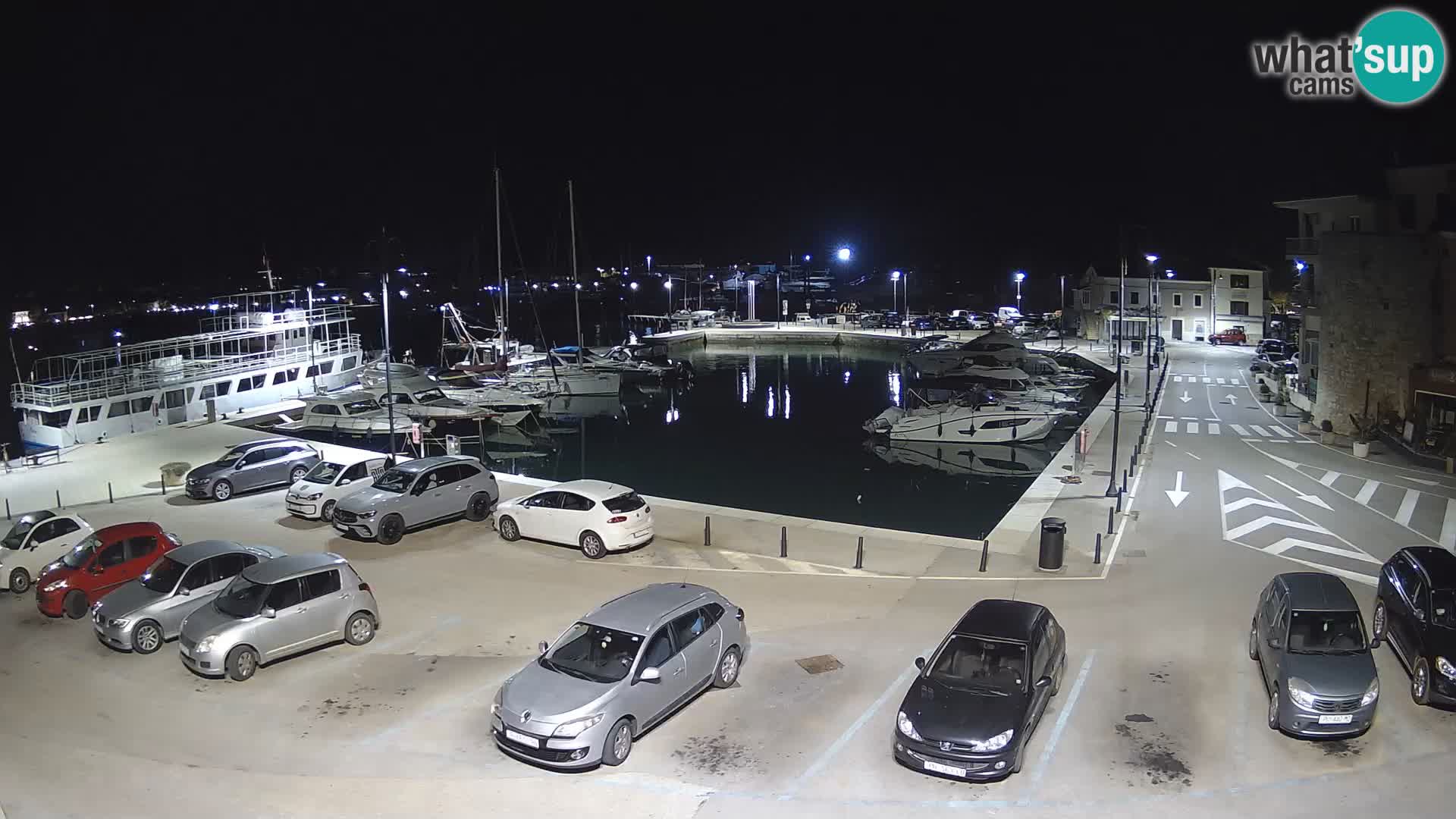 Novigrad | Porporela marina