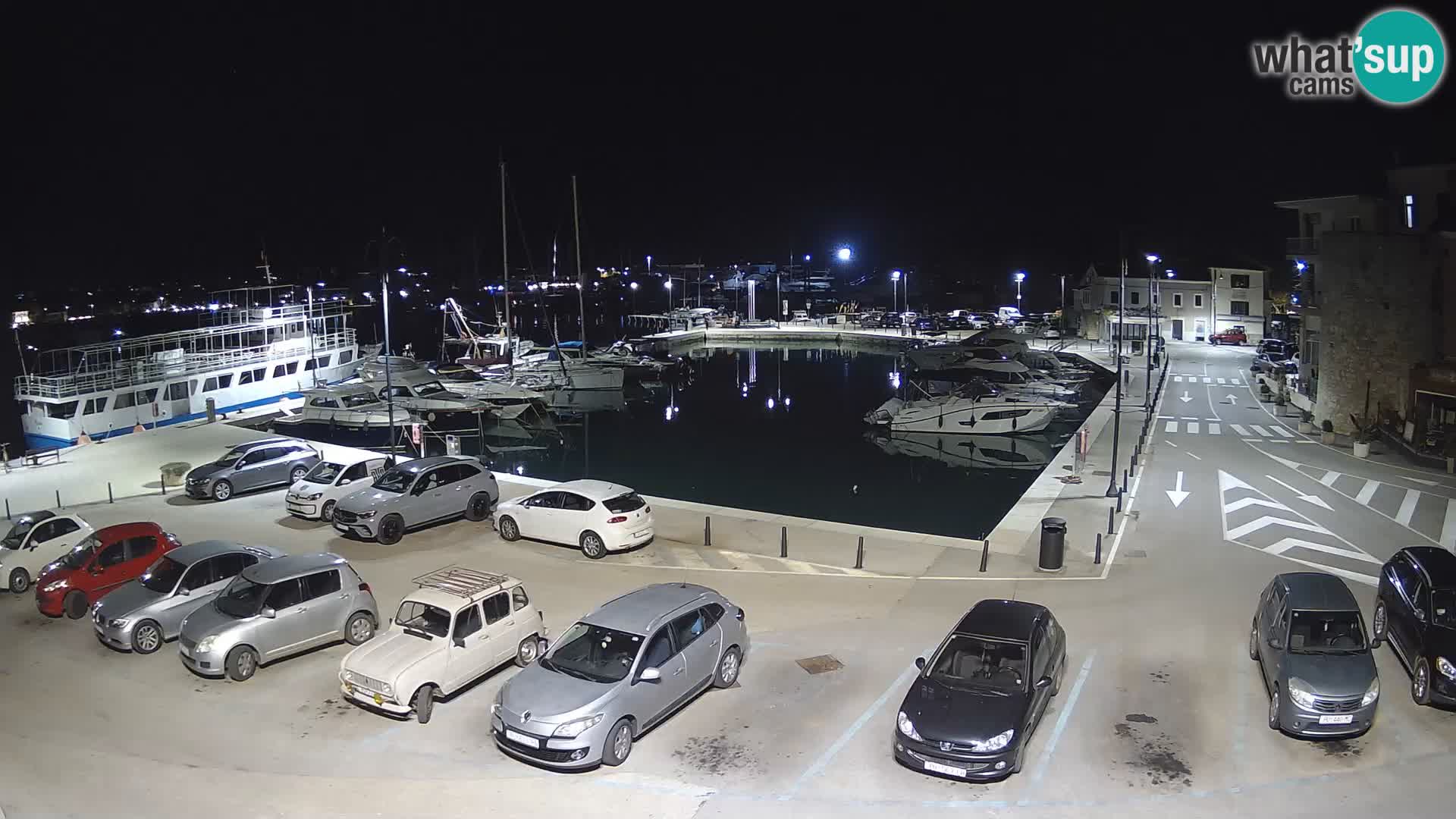 Novigrad | Porporela marina