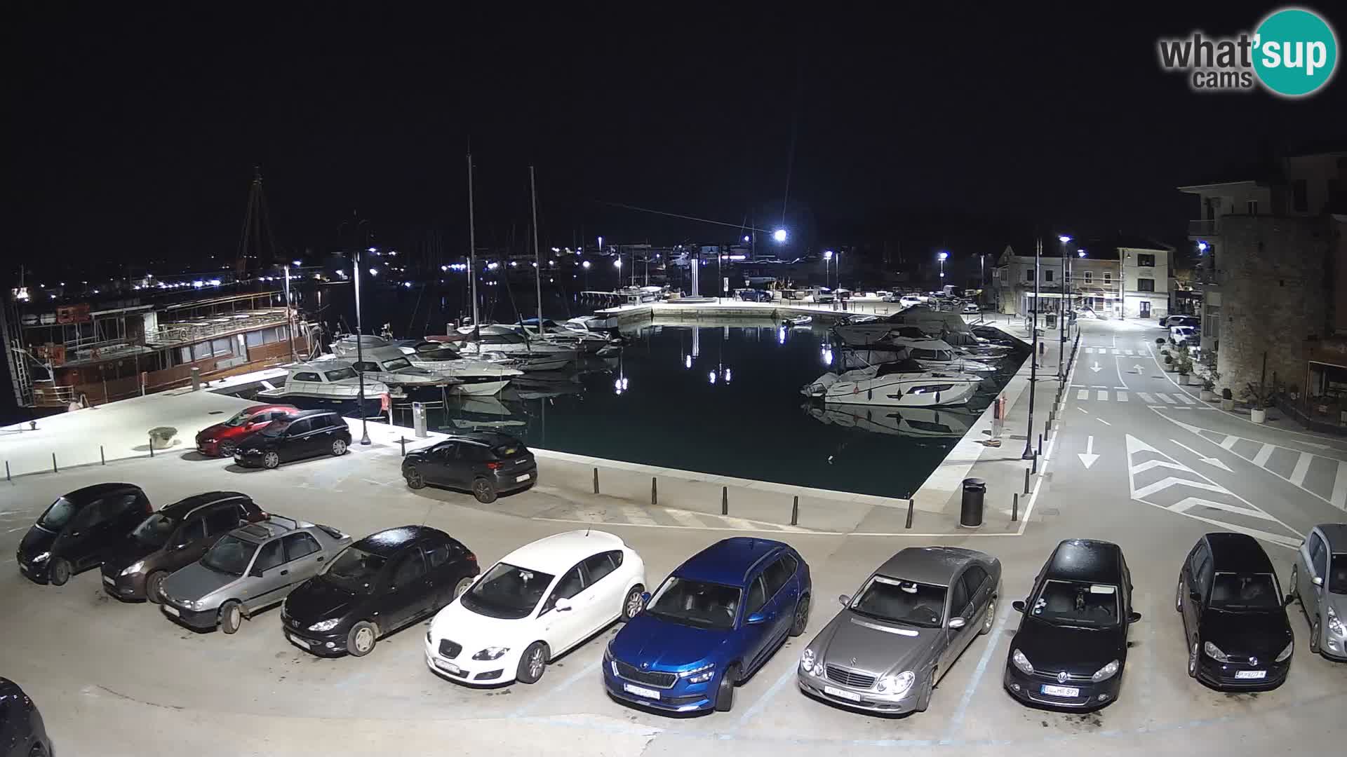 Novigrad | Porporela marina