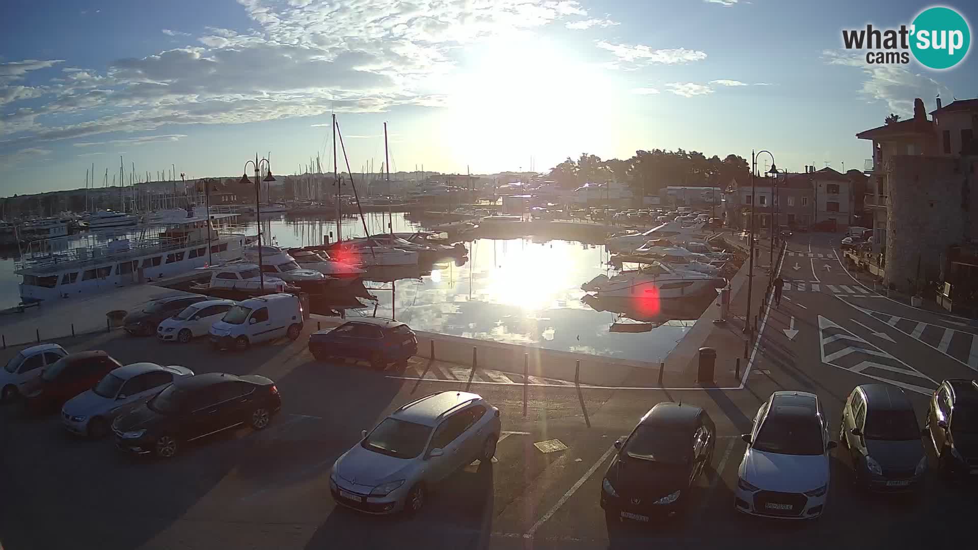 Novigrad | Porporela marina
