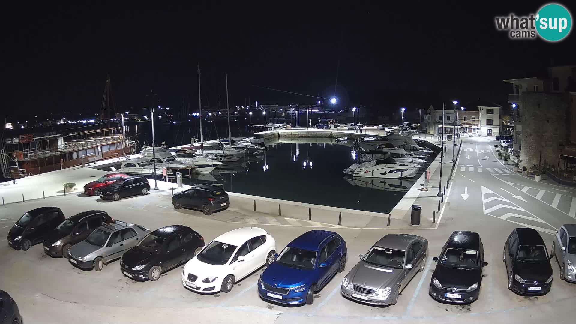 Novigrad | Porporela marina