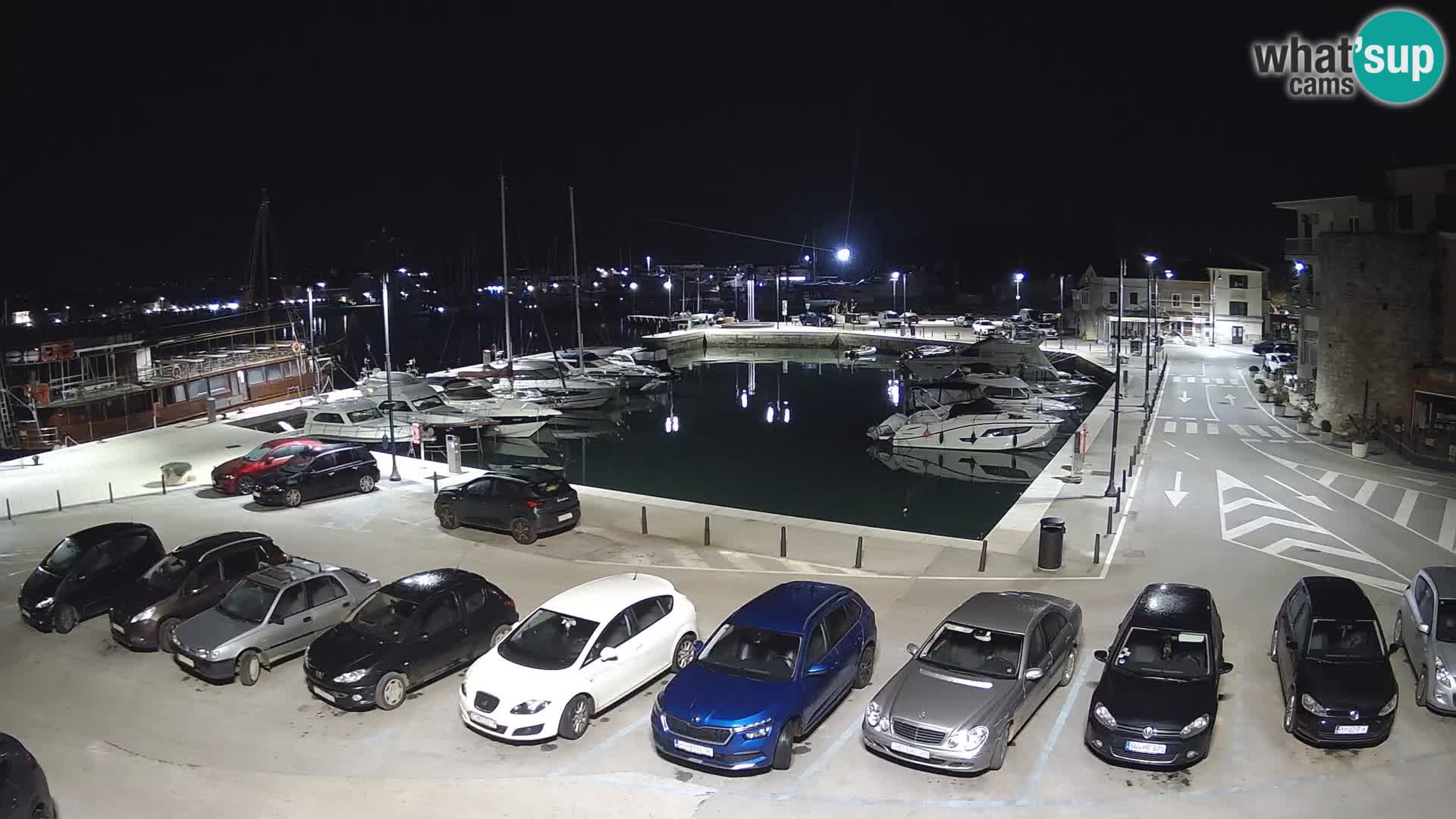 Novigrad | Porporela marina