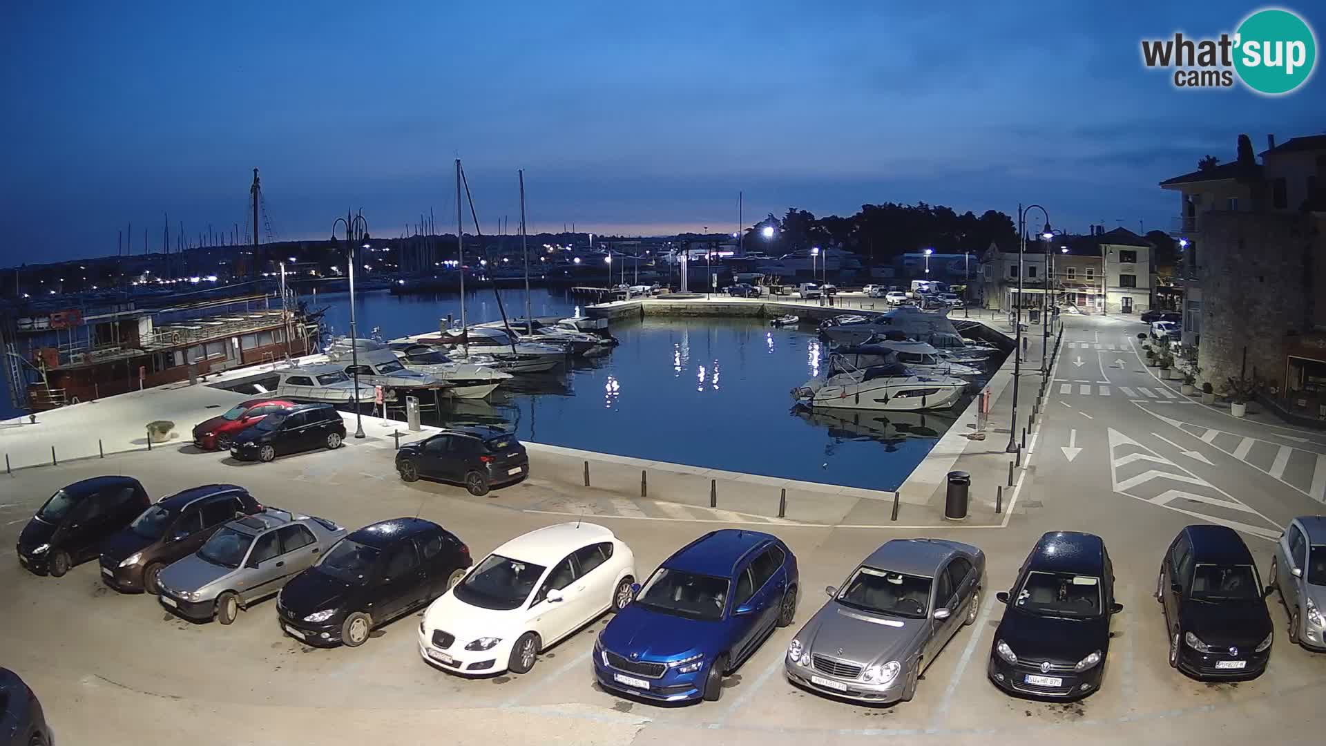 Novigrad | Porporela marina