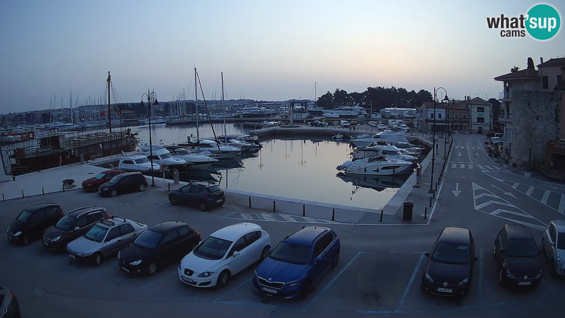 Novigrad | Porporela marina