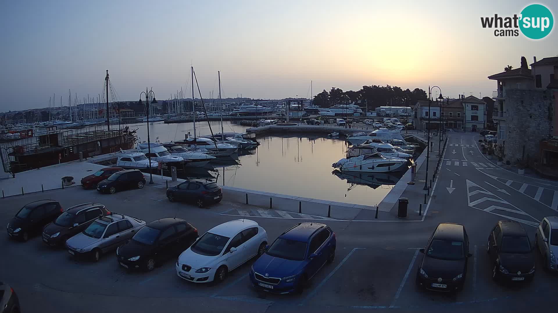 Novigrad | Porporela marina