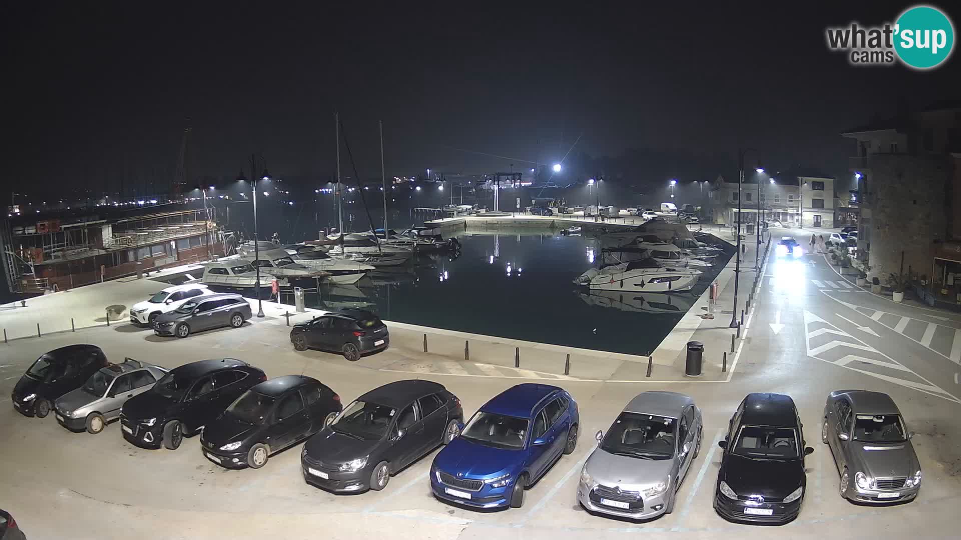 Novigrad | Porporela marina