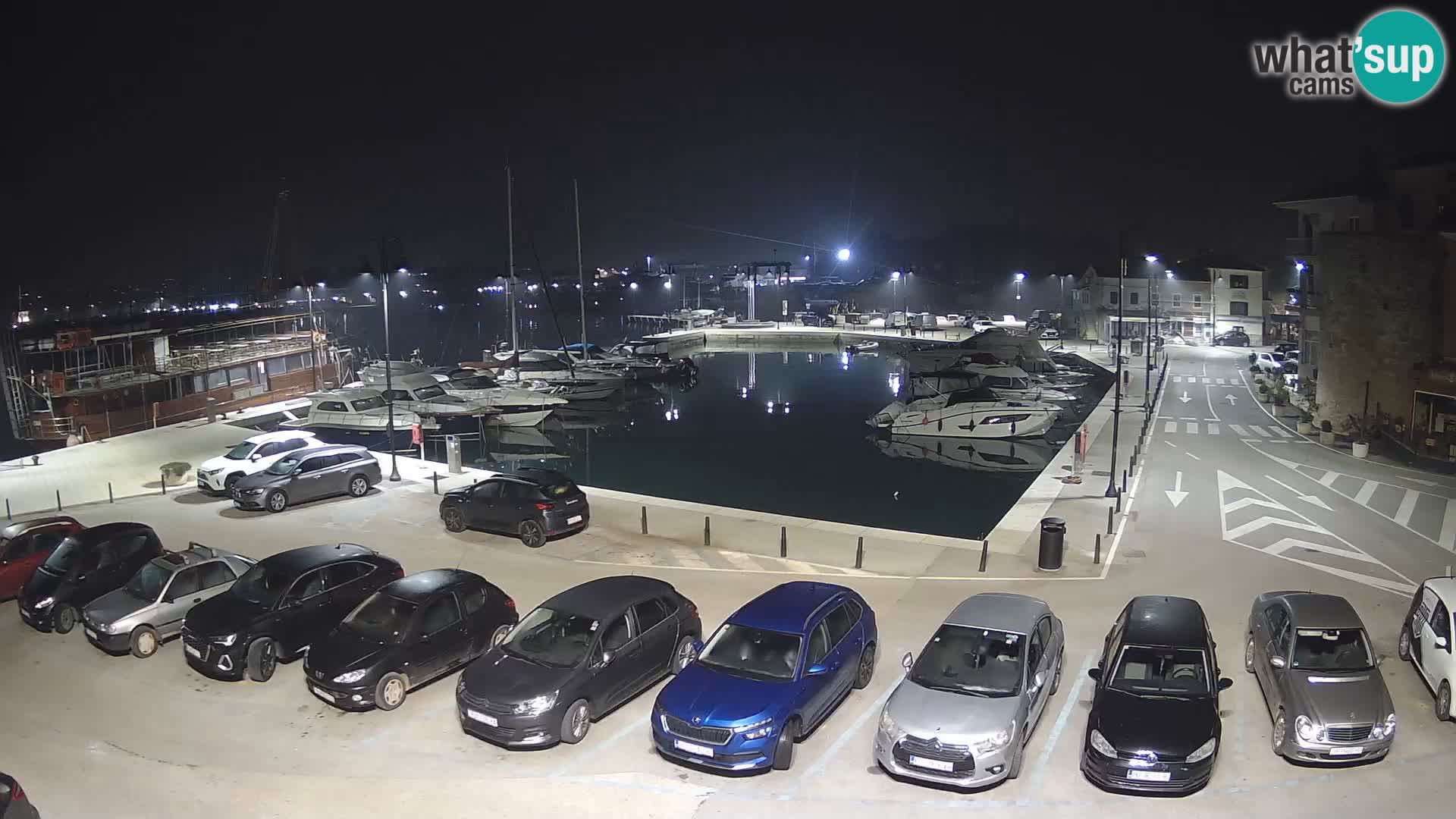 Novigrad | Porporela marina