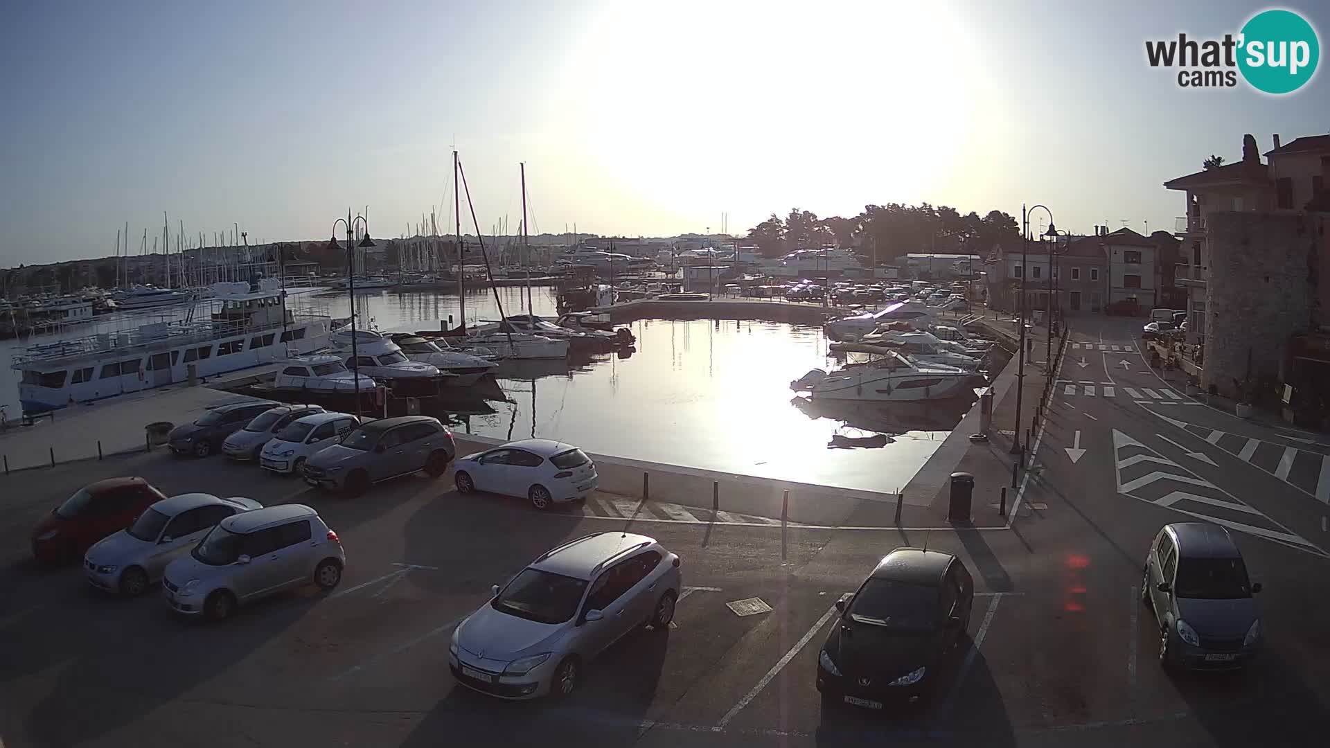 Novigrad | Porporela marina