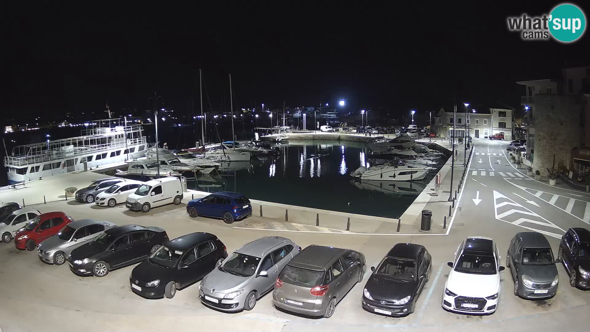 Novigrad | Porporela marina