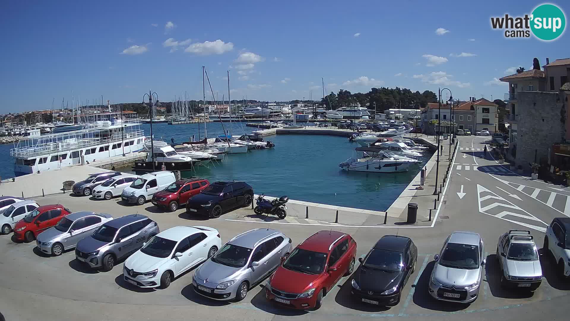 Novigrad | Porporela marina