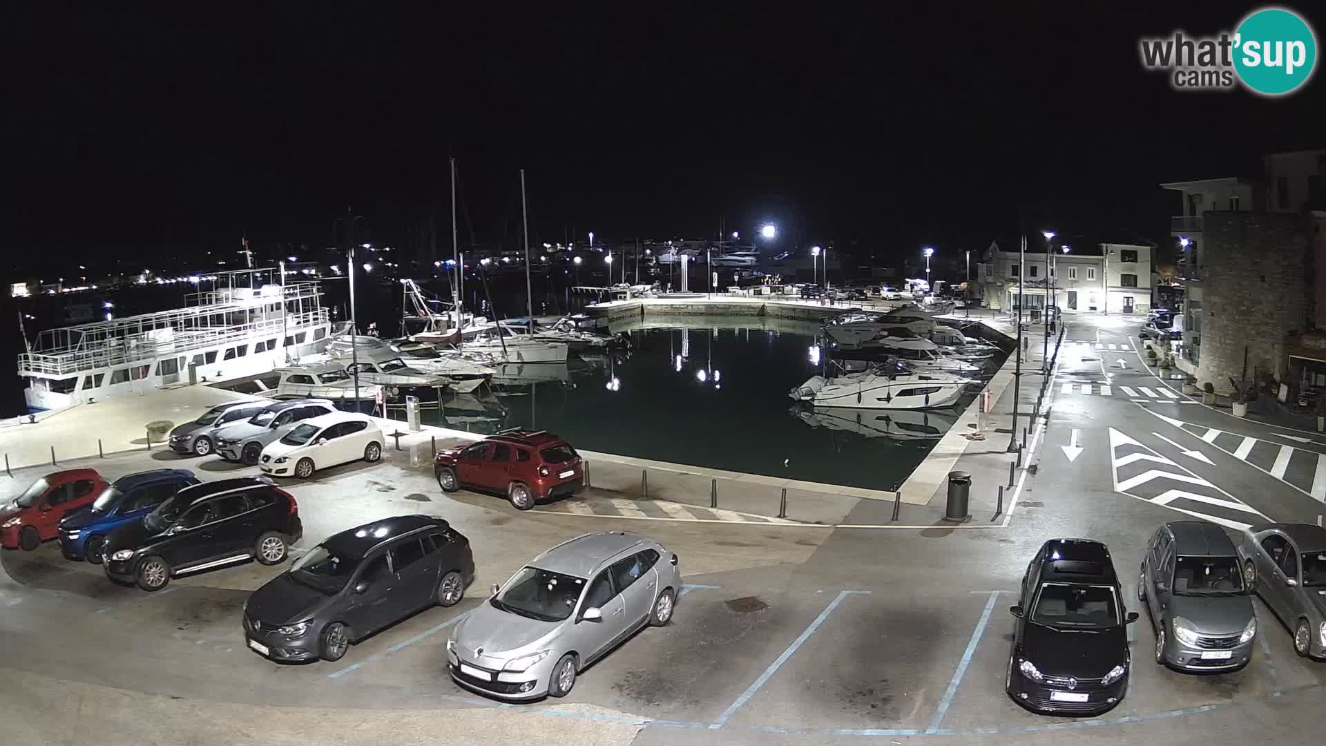 Novigrad | Porporela marina